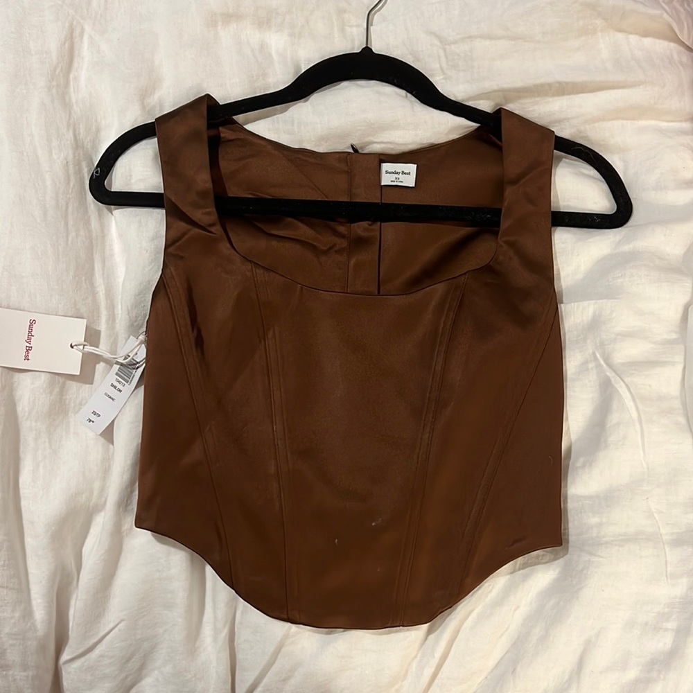 COPY - Aritizia Shiloh Bustier